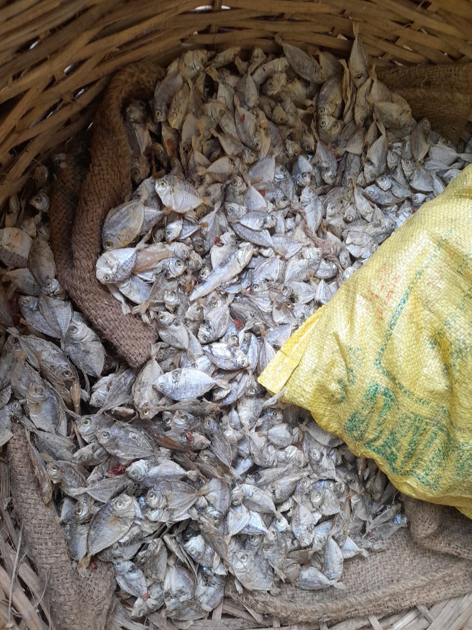 WhatsApp_Image_2024-01-04_at_00.38.28.jp