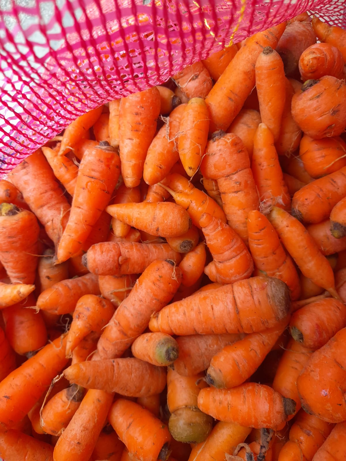 WhatsApp_Image_2024-01-04_at_00.38.31__1