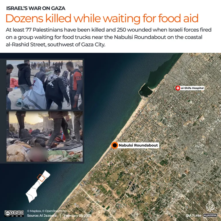 gaza_food_tragedy1.jpg
