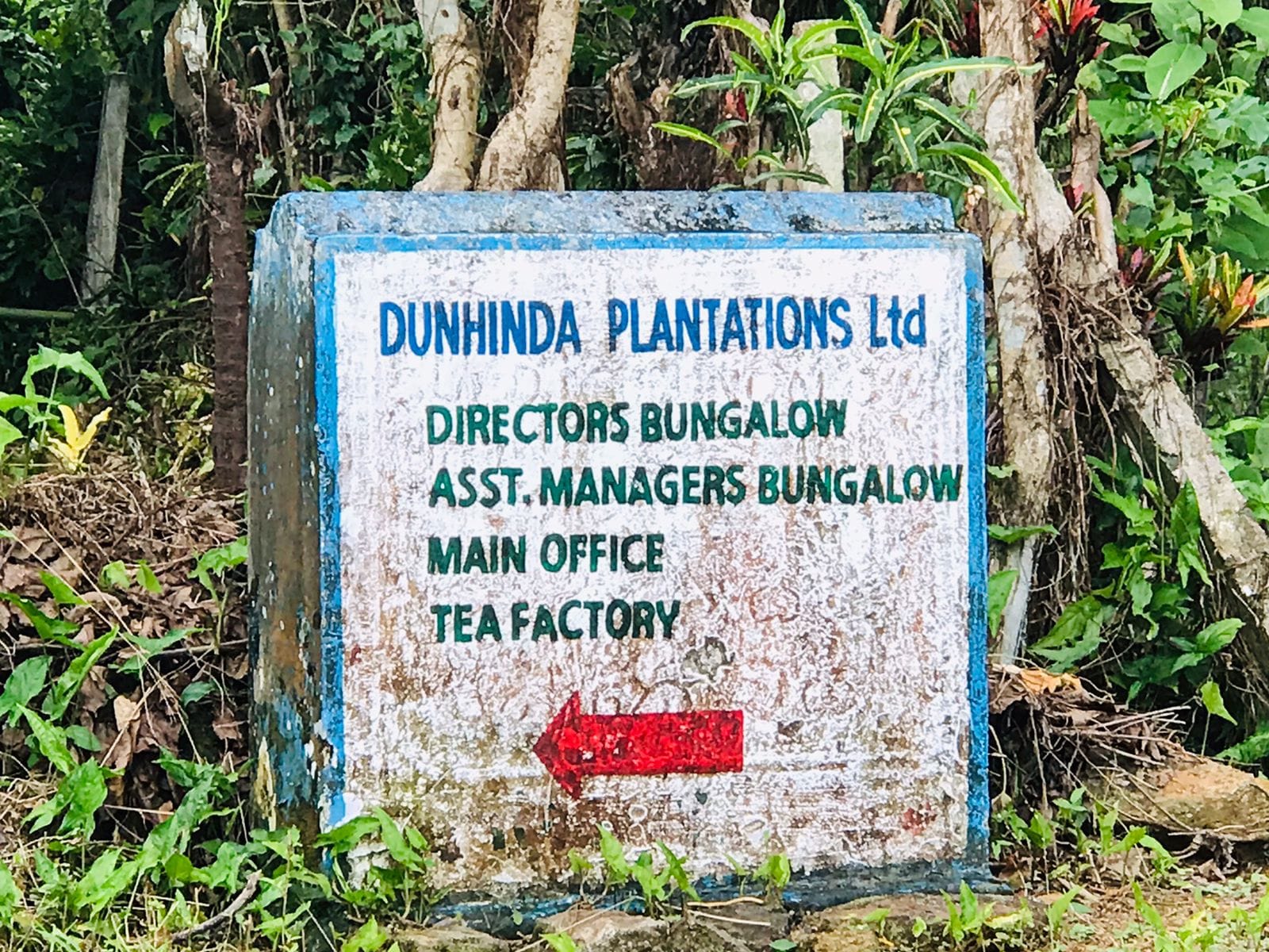 441322997_10219754321887687_663504134042