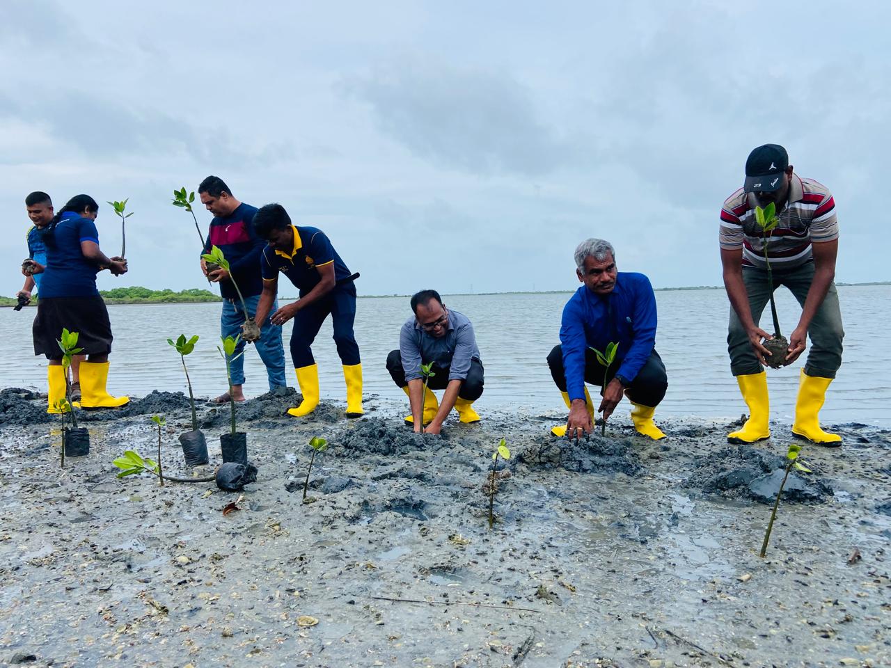 WhatsApp_Image_2024-06-05_at_9.16.13_AM_