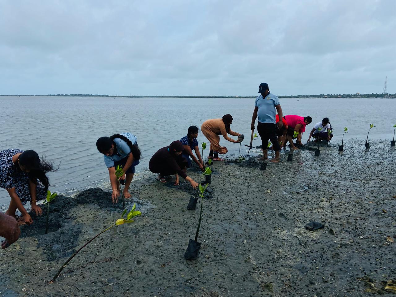 WhatsApp_Image_2024-06-05_at_9.16.14_AM.