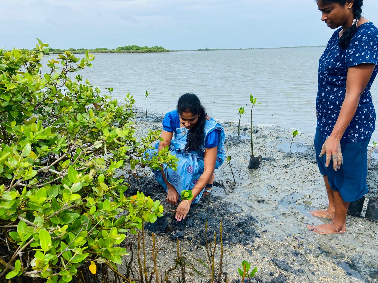 WhatsApp_Image_2024-06-05_at_9.16.14_AM_