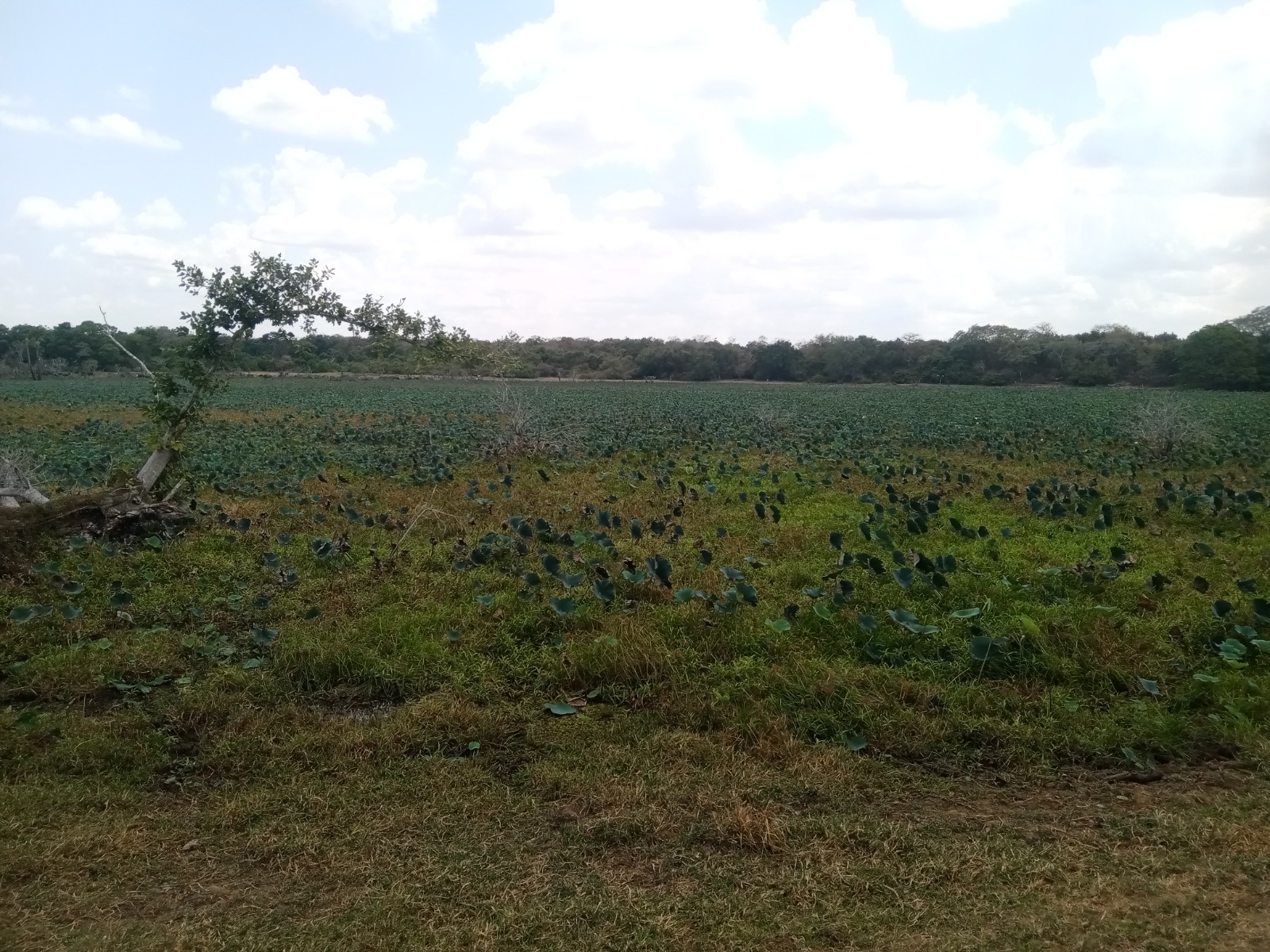 WhatsApp_Image_2024-08-17_at_15.05.46__1