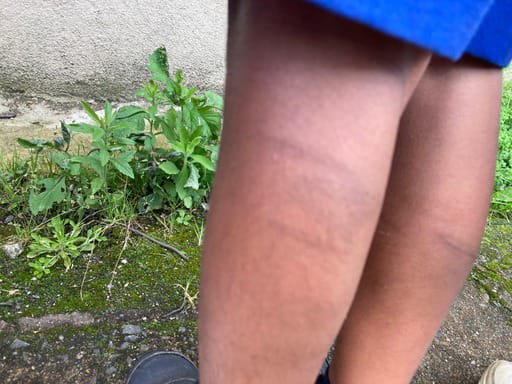 WhatsApp_Image_2024-09-11_at_14.15.45__1