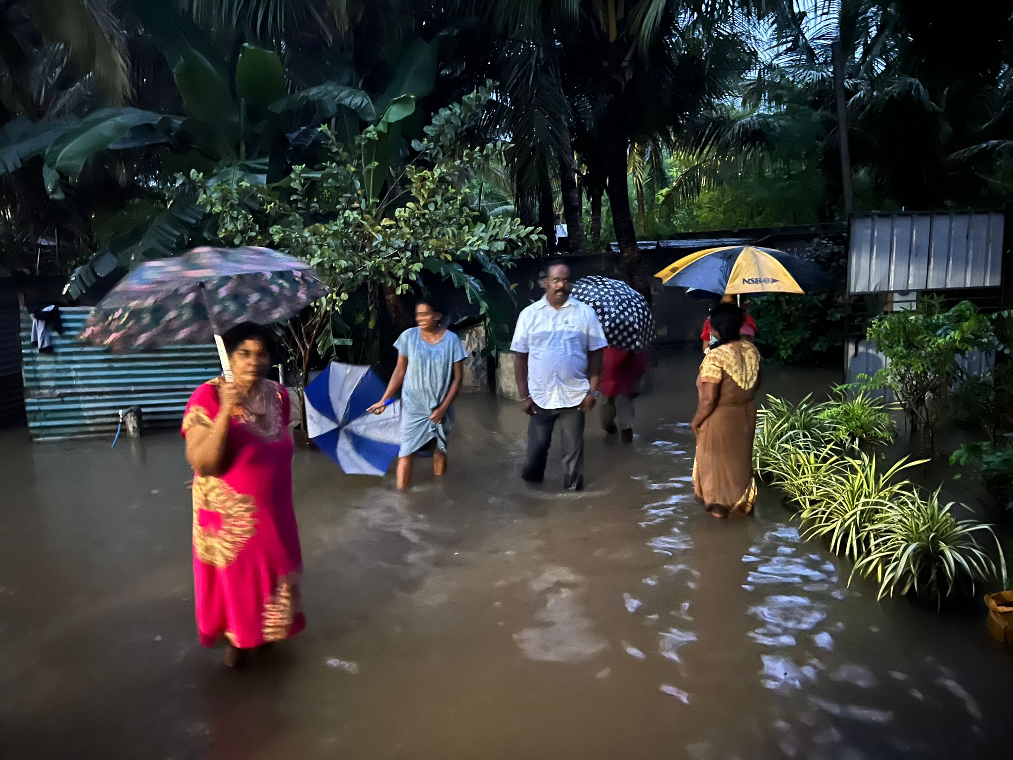 WhatsApp_Image_2024-11-25_at_6.31.55_PM_