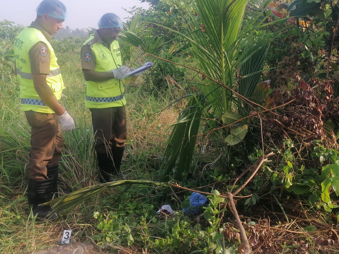 WhatsApp_Image_2025-02-22_at_08.05.27__1