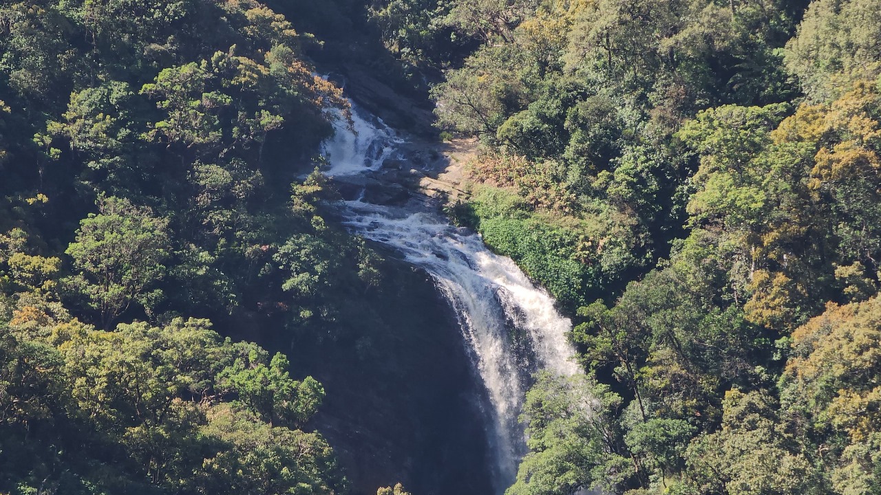 WhatsApp_Image_2025-04-08_at_1.29.14_PM.