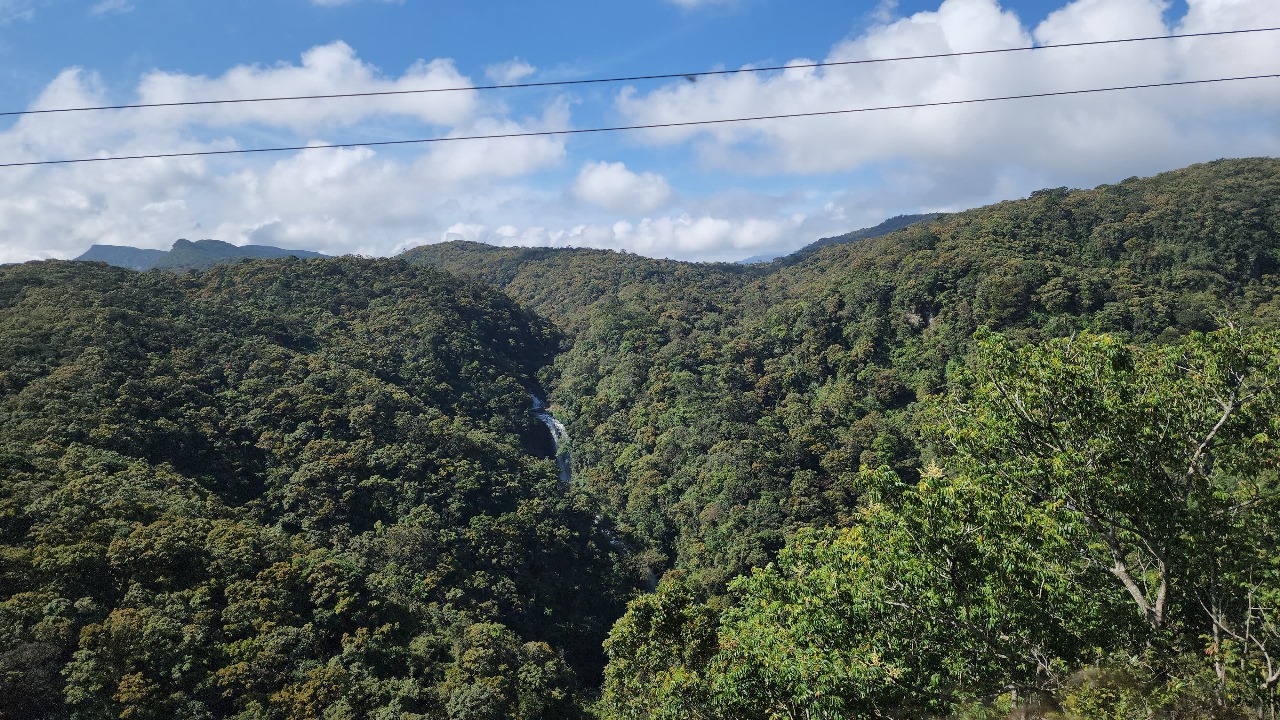 WhatsApp_Image_2025-04-08_at_1.29.23_PM.