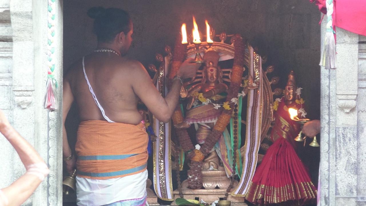 WhatsApp_Image_2025-04-14_at_11.49.51_AM