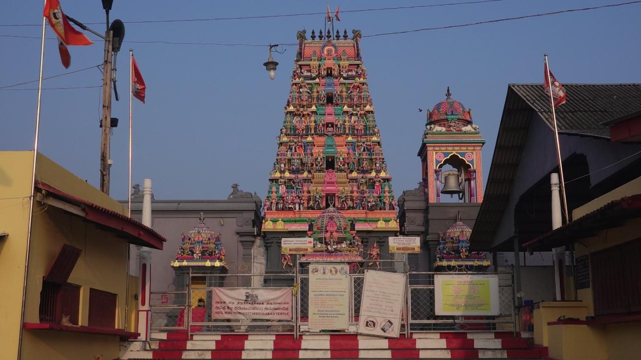 WhatsApp_Image_2025-04-14_at_11.49.51_AM