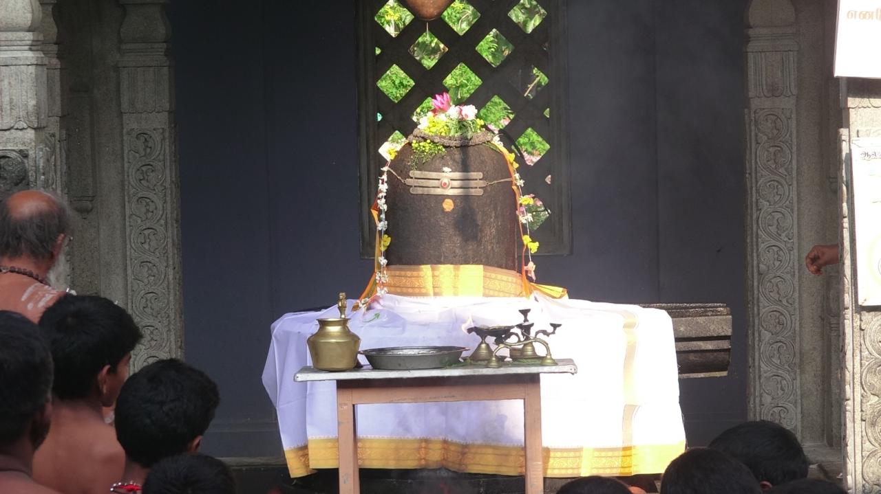 WhatsApp_Image_2025-04-14_at_11.49.51_AM