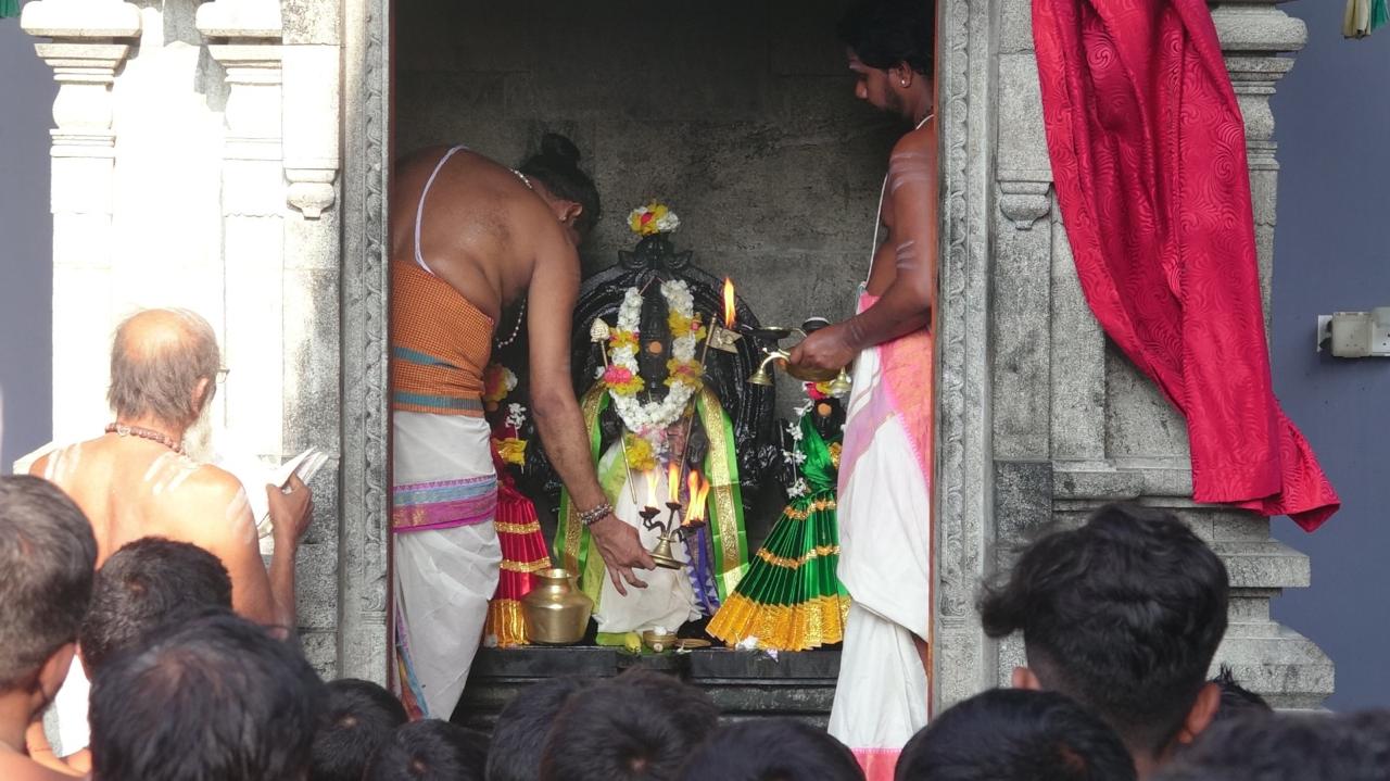 WhatsApp_Image_2025-04-14_at_11.49.51_AM