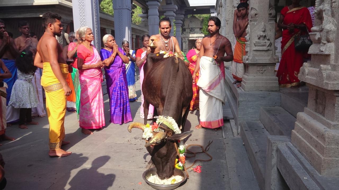 WhatsApp_Image_2025-04-14_at_11.49.51_AM