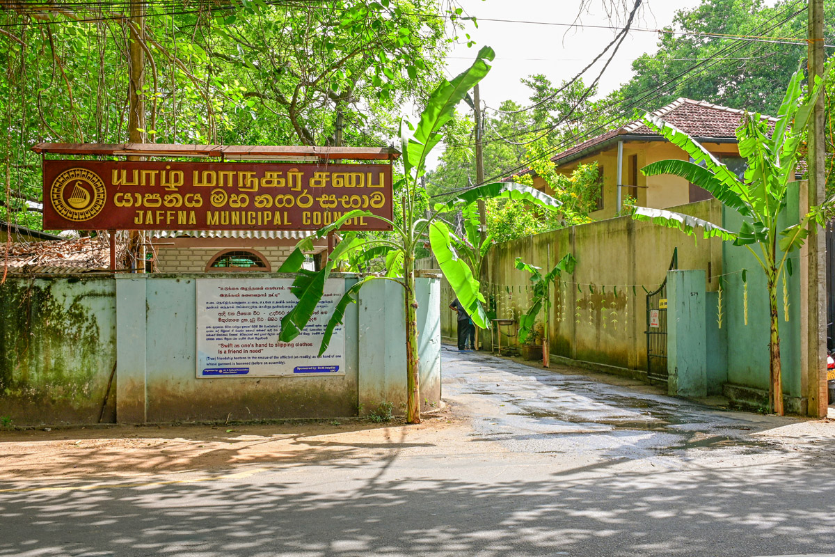 DSC_5405_copy.jpg