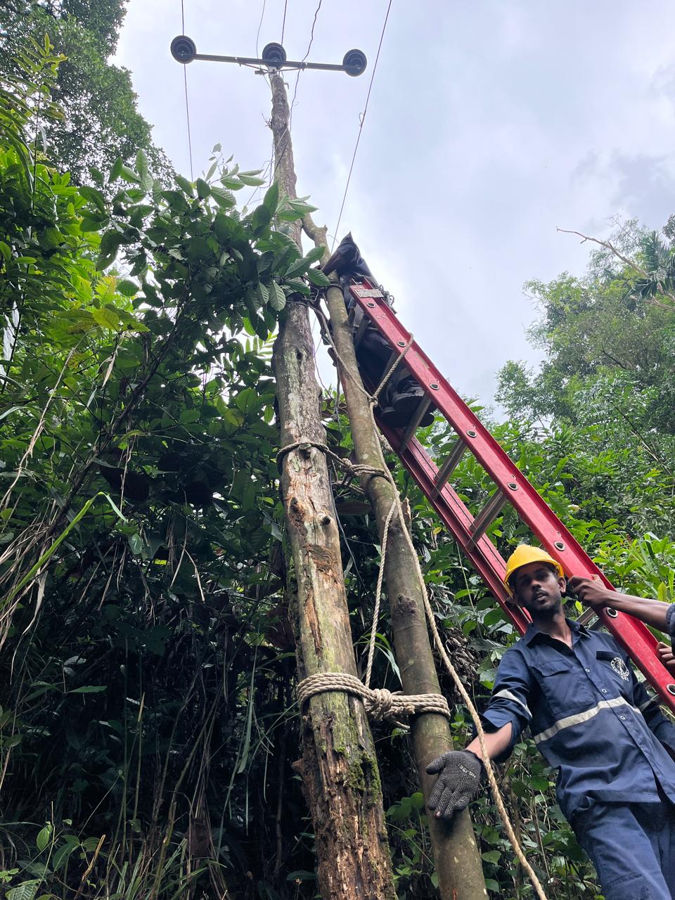 WhatsApp_Image_2025-06-01_at_21.03.04_4d