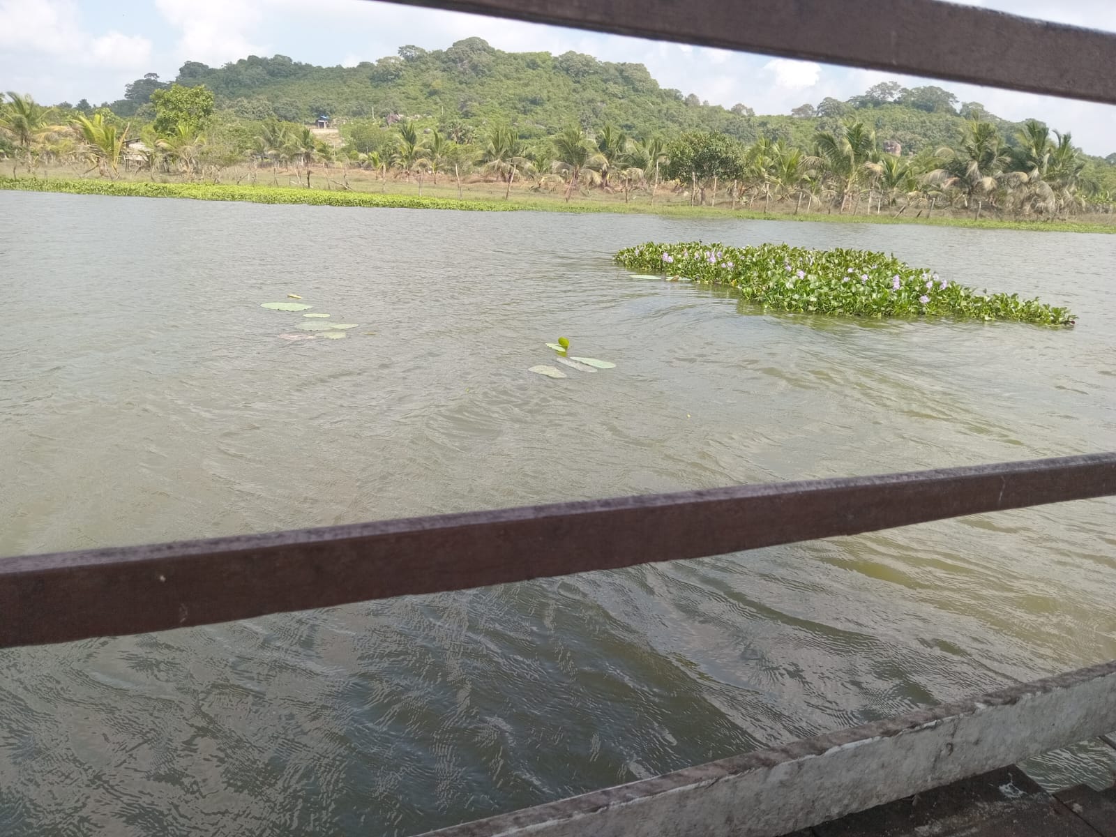 WhatsApp_Image_2025-06-01_at_21.04.17_46