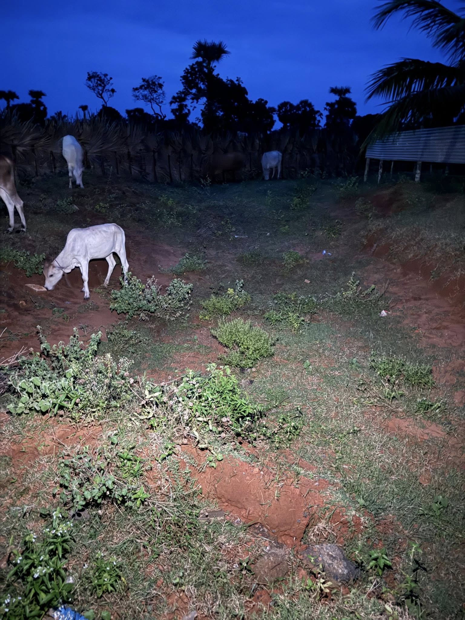 504897849_10162398931283673_751144715274