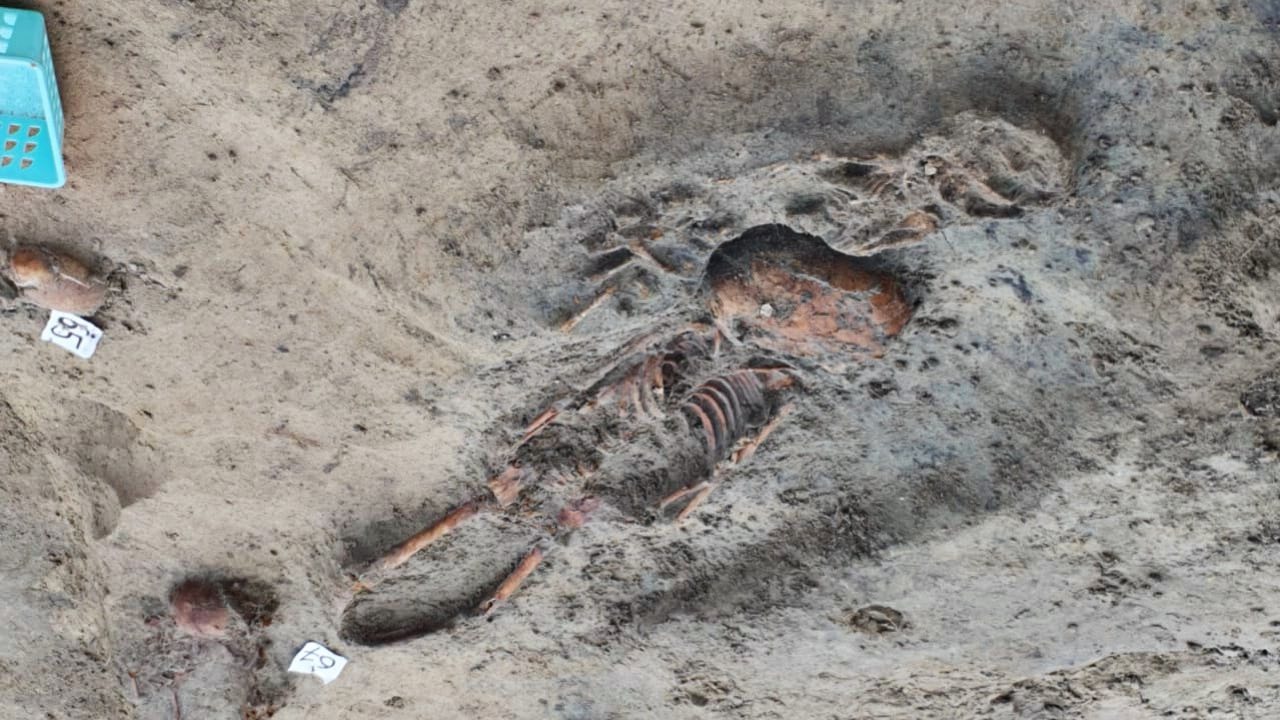 WhatsApp_Image_2025-07-22_at_18.58.42_0d