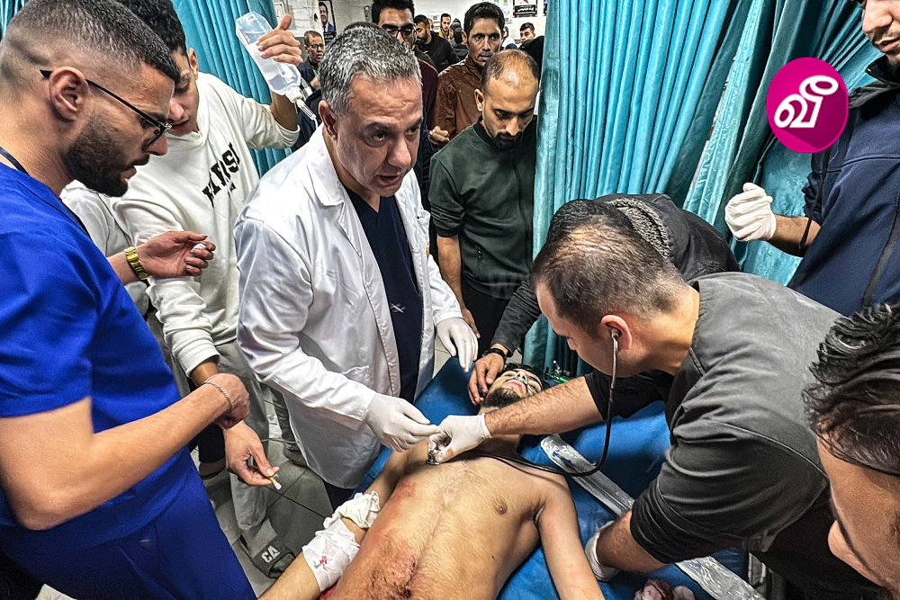 gaza_doc_dece_24_24.jpg