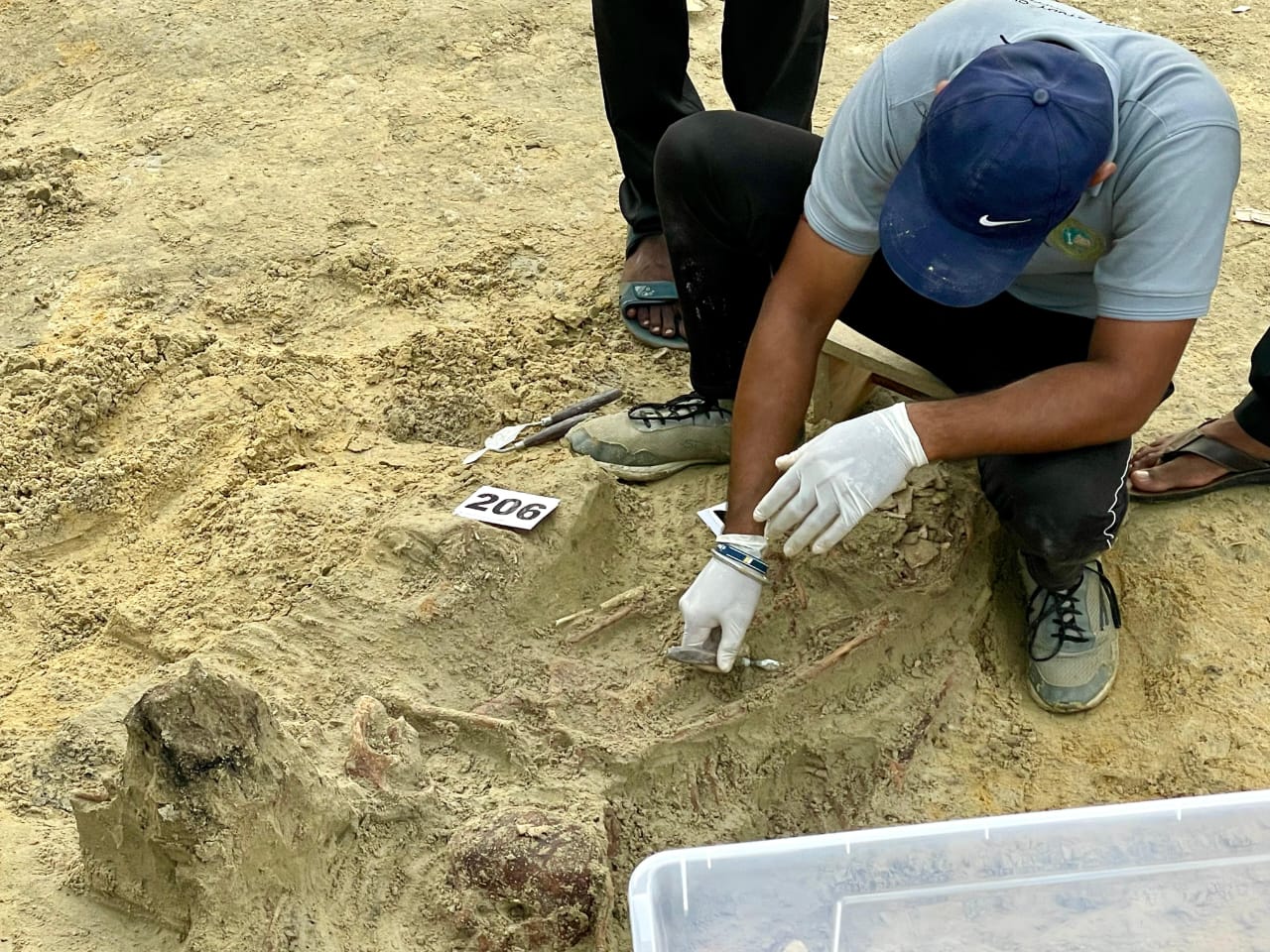 WhatsApp_Image_2025-09-01_at_19.20.47_ce