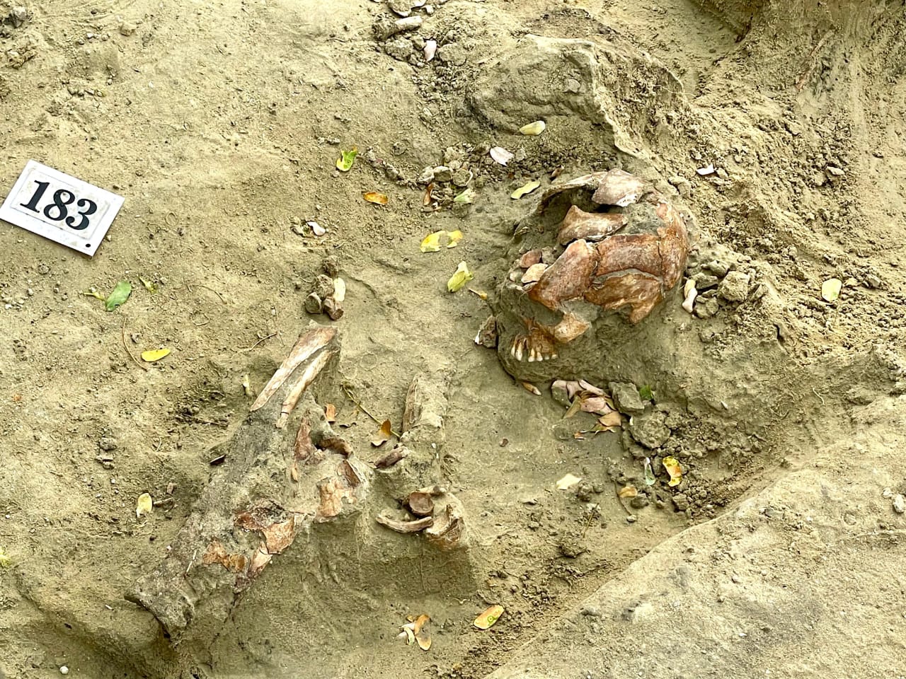 WhatsApp_Image_2025-09-01_at_19.20.48_b5