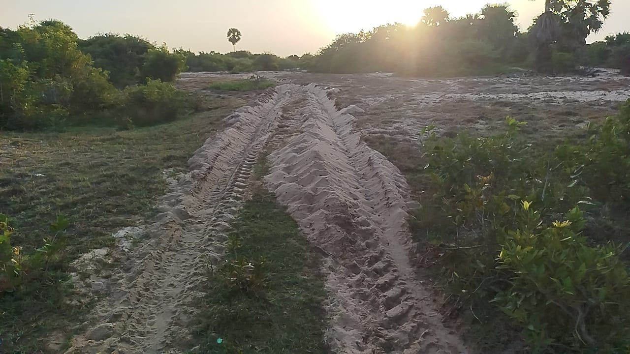 1000807223.jpg