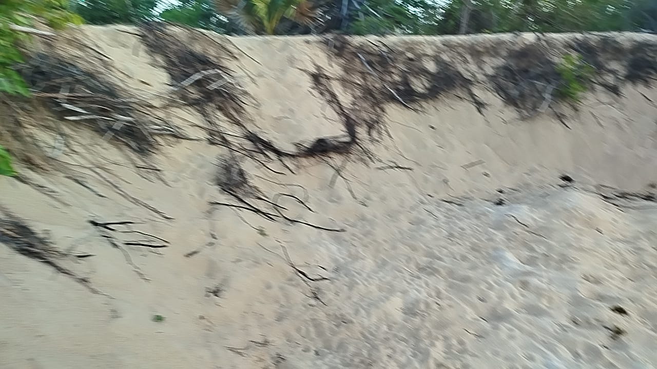 1000807225.jpg