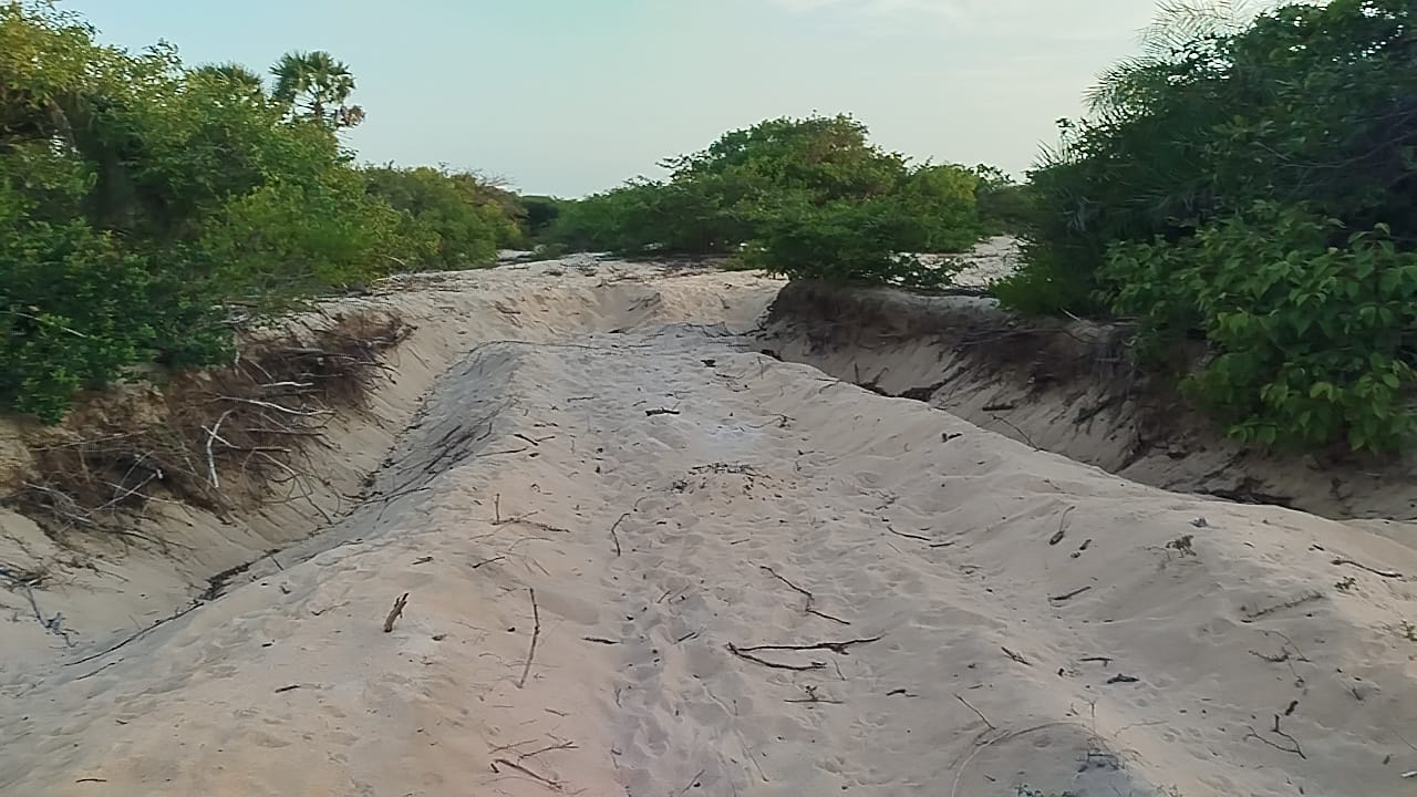 1000807226.jpg