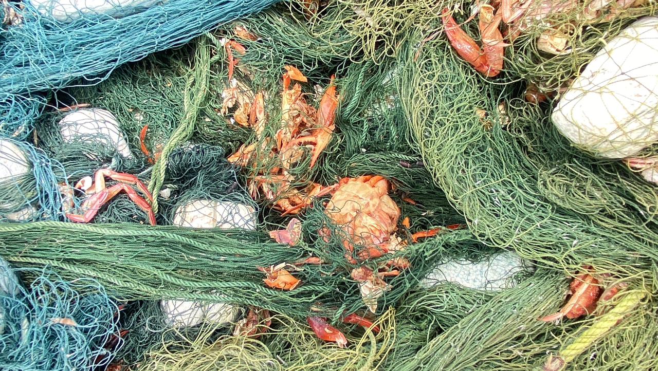 WhatsApp_Image_2025-10-14_at_8.14.40_AM_