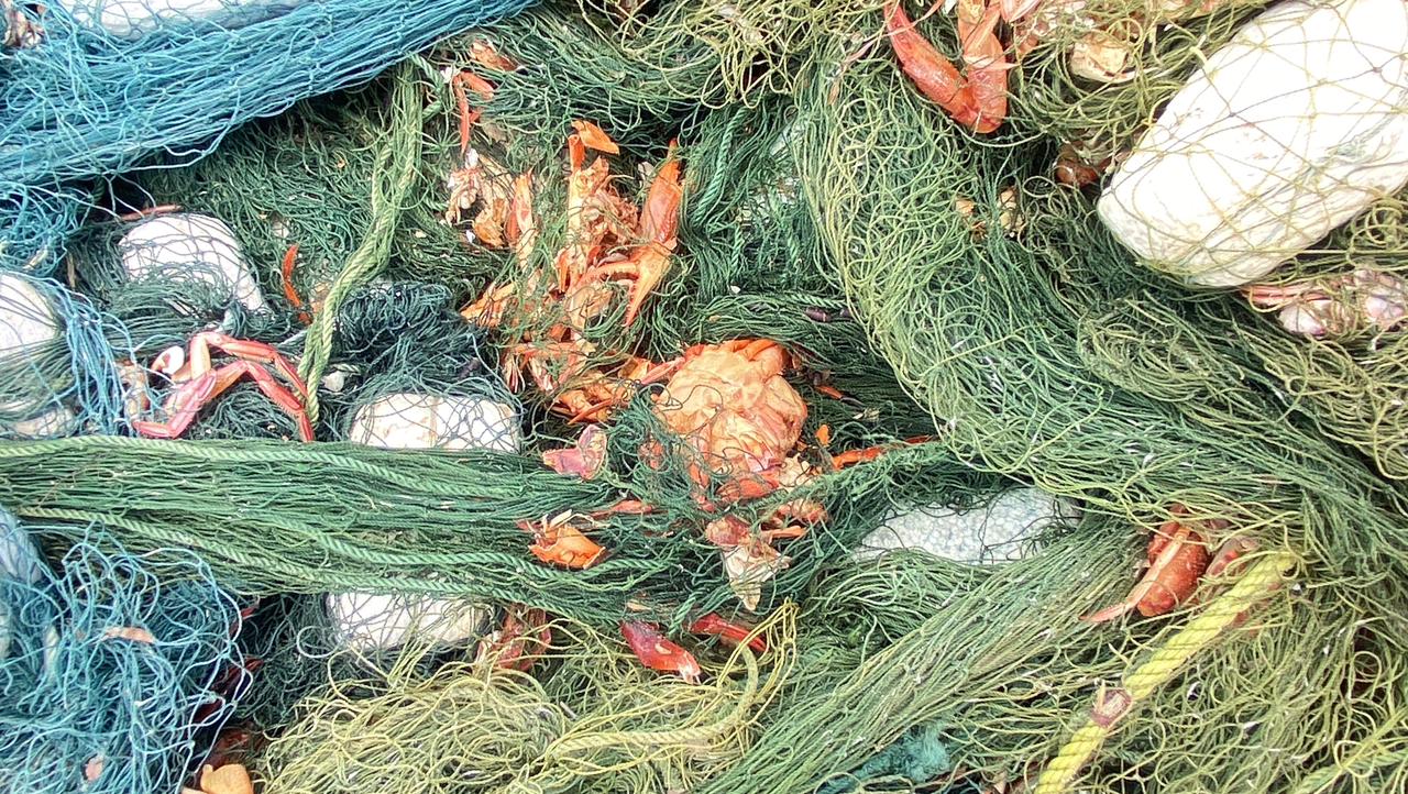 WhatsApp_Image_2025-10-14_at_8.14.40_AM.