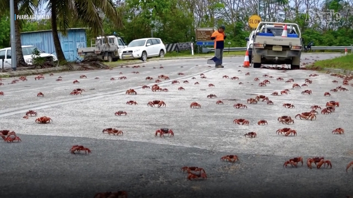 566525992_4109017579415415_3615211519176