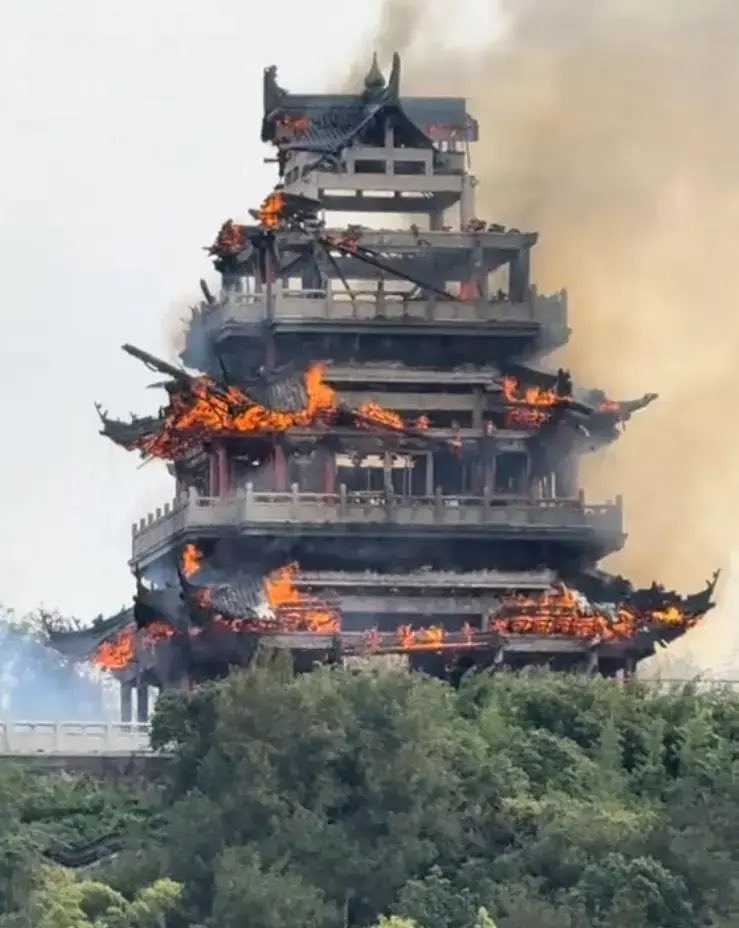 WhatsApp_Image_2025-11-14_at_5.40.24_PM.