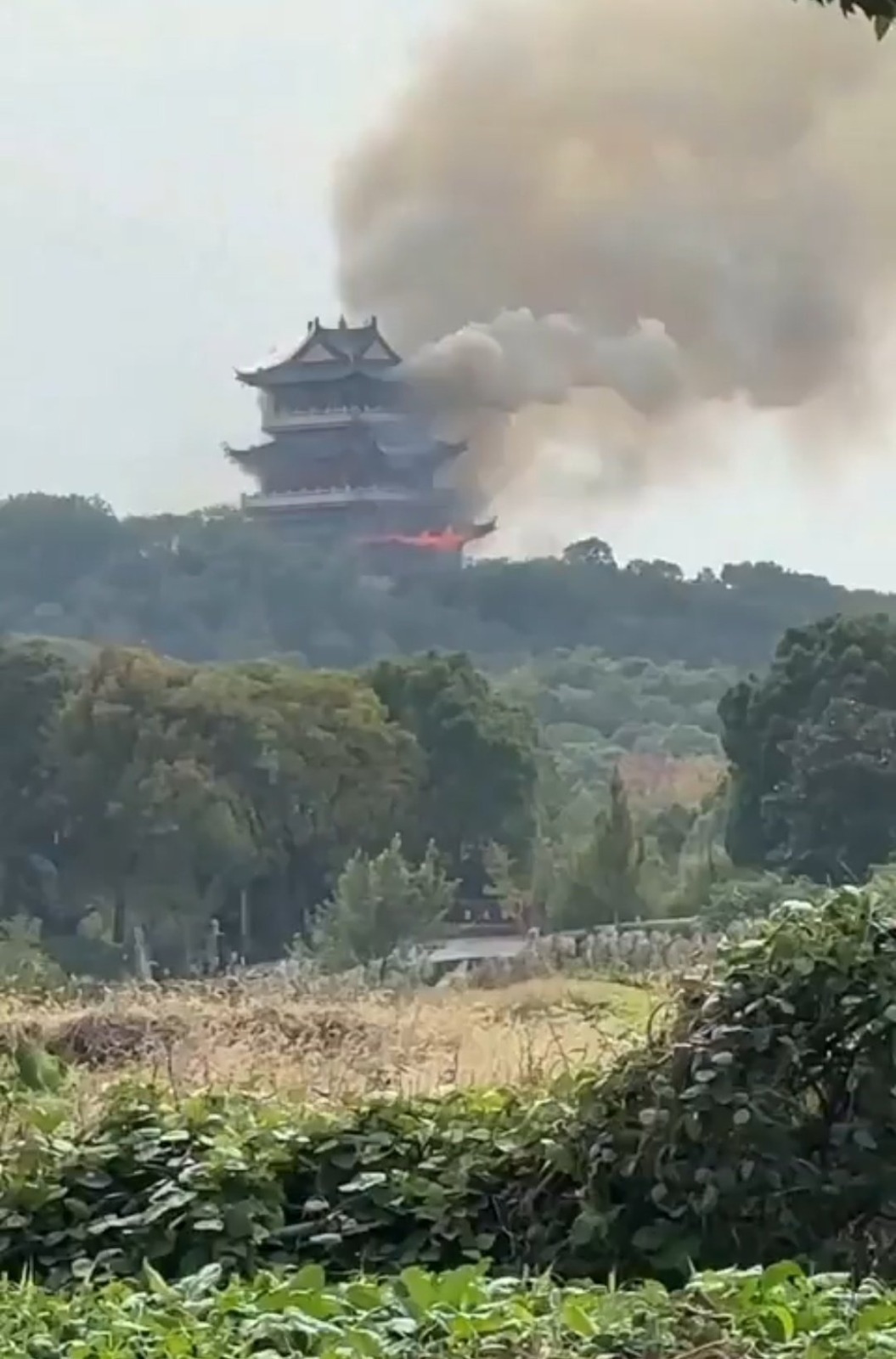 WhatsApp_Image_2025-11-14_at_5.40.52_PM.