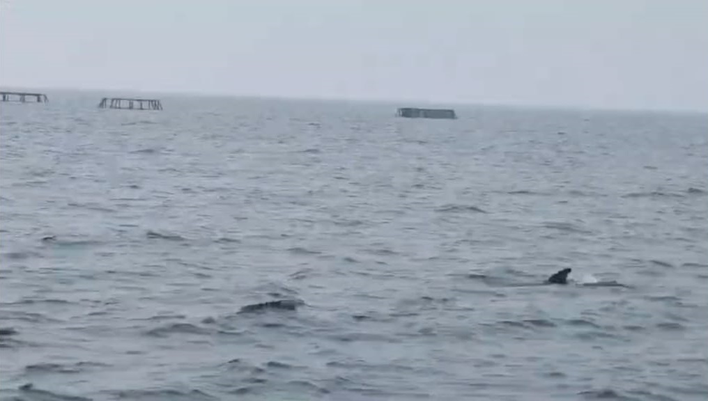 WhatsApp_Image_2025-11-18_at_8.17.51_AM.