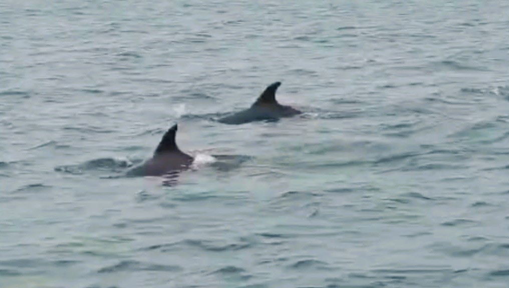 WhatsApp_Image_2025-11-18_at_8.17.53_AM_