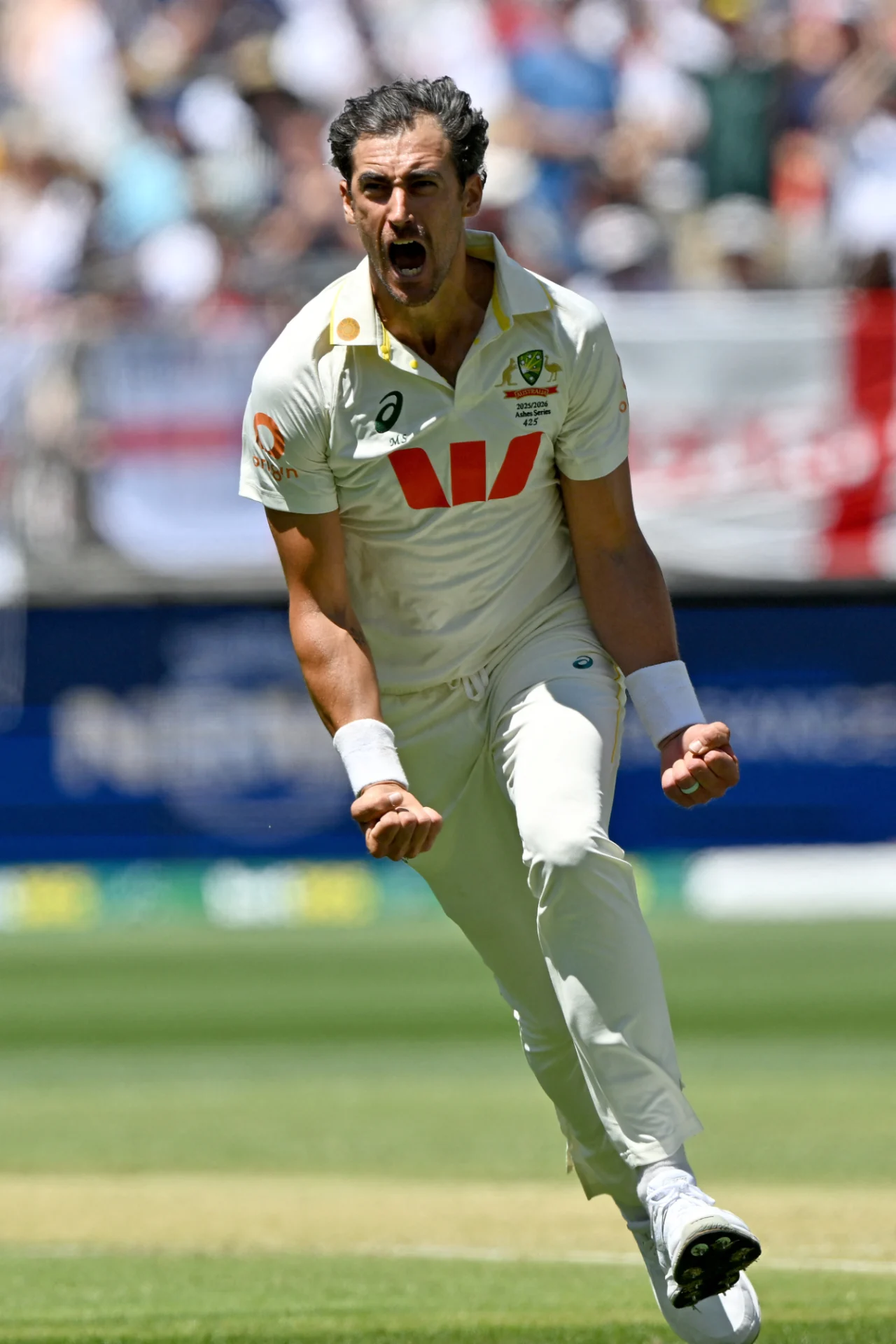 2211_mitchell_starc.png