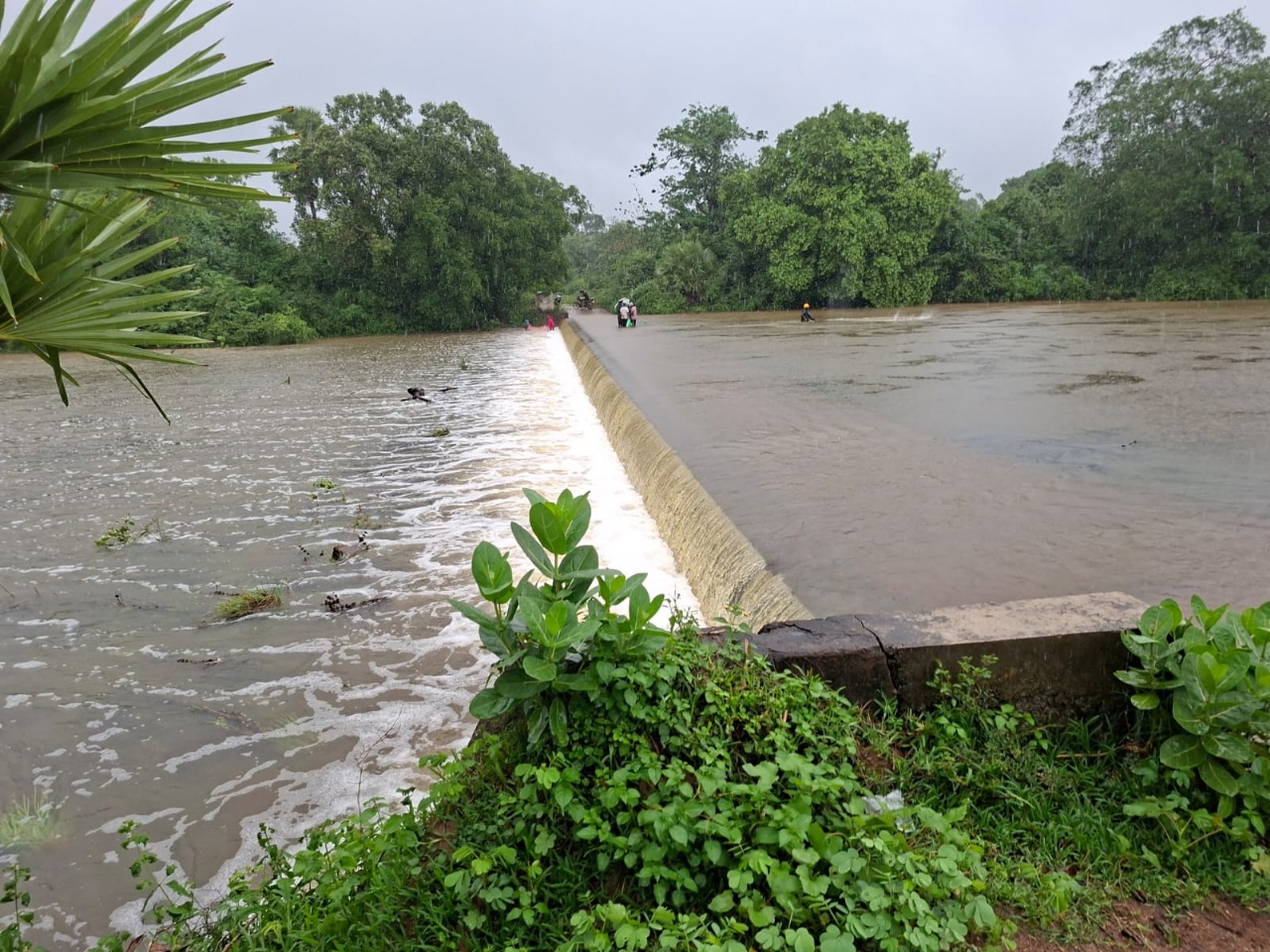 WhatsApp_Image_2025-11-27_at_19.37.20_ad