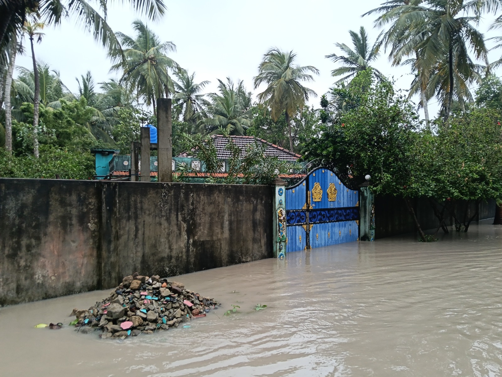 WhatsApp_Image_2025-11-30_at_12.15.11_AM