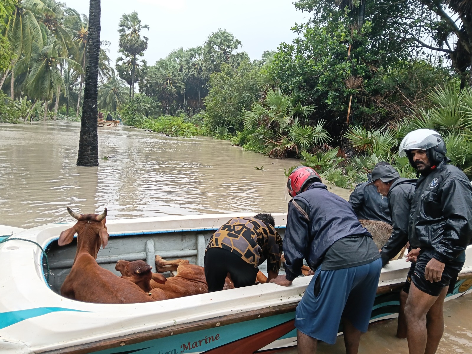 WhatsApp_Image_2025-11-30_at_12.15.11_AM