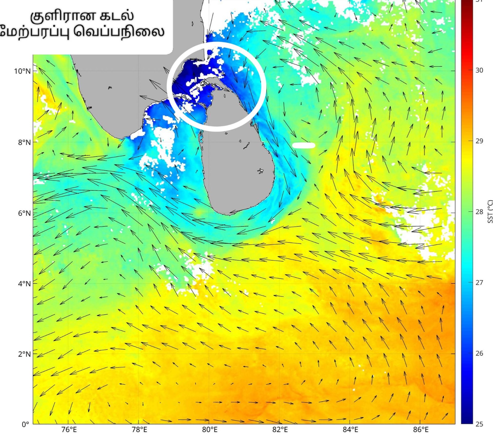 WhatsApp_Image_2026-01-17_at_11.20.23_AM