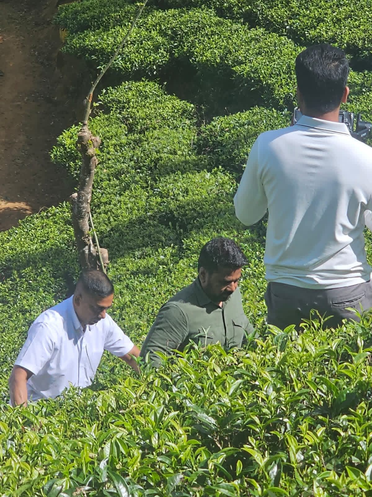 629479572_1474736024655673_9415172027934