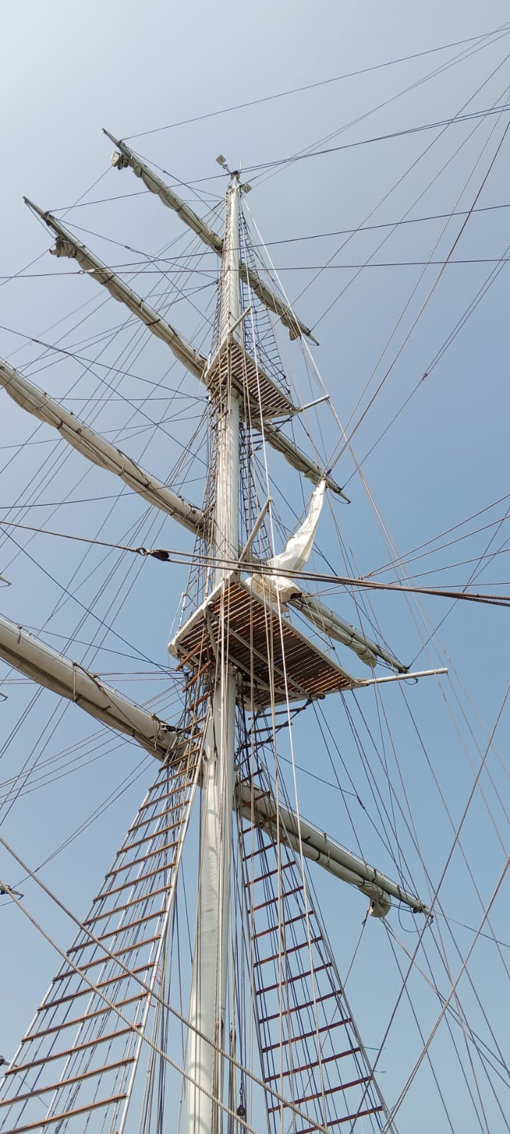 WhatsApp_Image_2026-03-06_at_15.42.49.jp