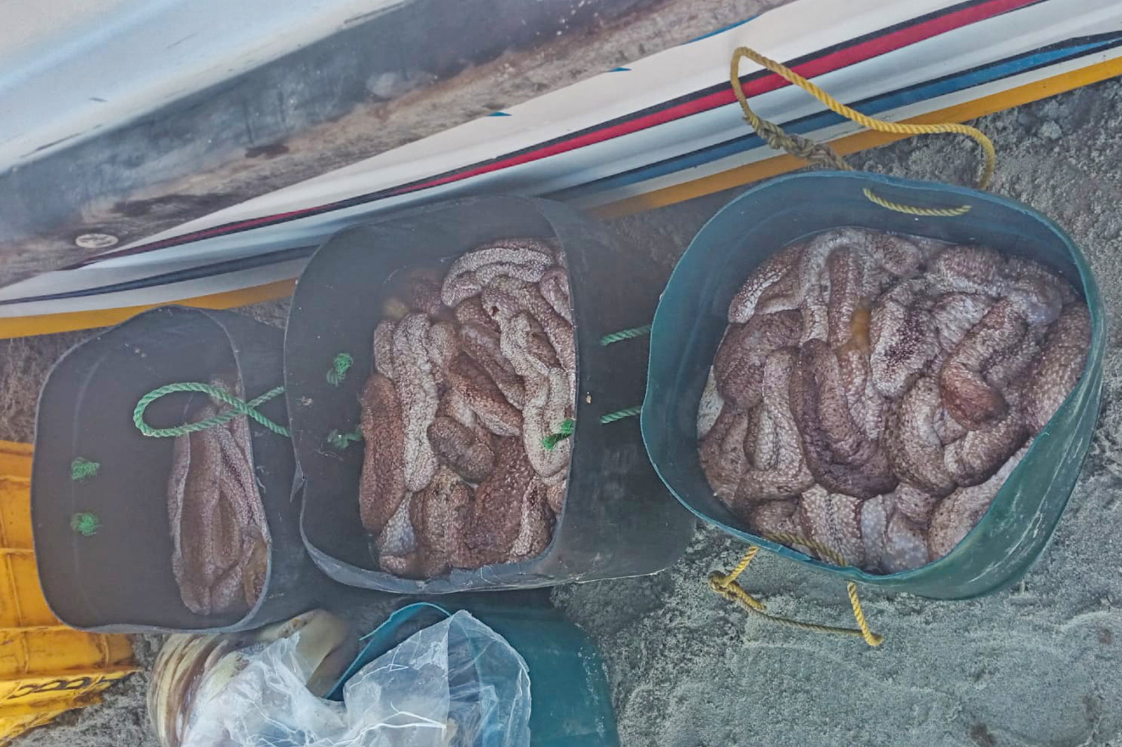 WhatsApp_Image_2026-03-20_at_17.04.53.jp