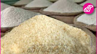 Articles Tagged Under: இலங்கை அரிசி உற்பத்தியாளர் சங்கம் | Virakesari.lk