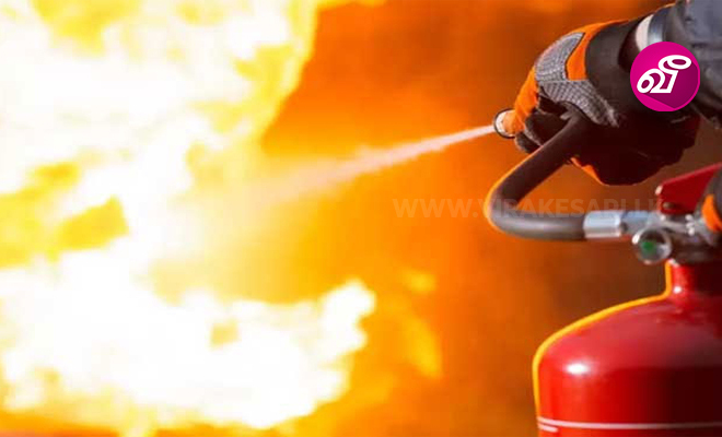 வத்தளையில் தொழிற்சாலையொன்றில் தீப்பரவல்! | Virakesari.lk