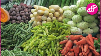 Articles Tagged Under: மரக்கறி விற்பனை | Virakesari.lk