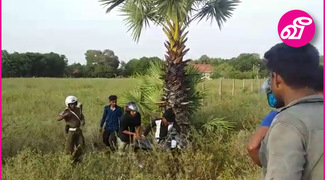 news-image